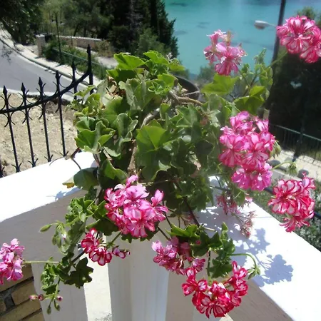 Appartement Anthimos Paleokastritsa